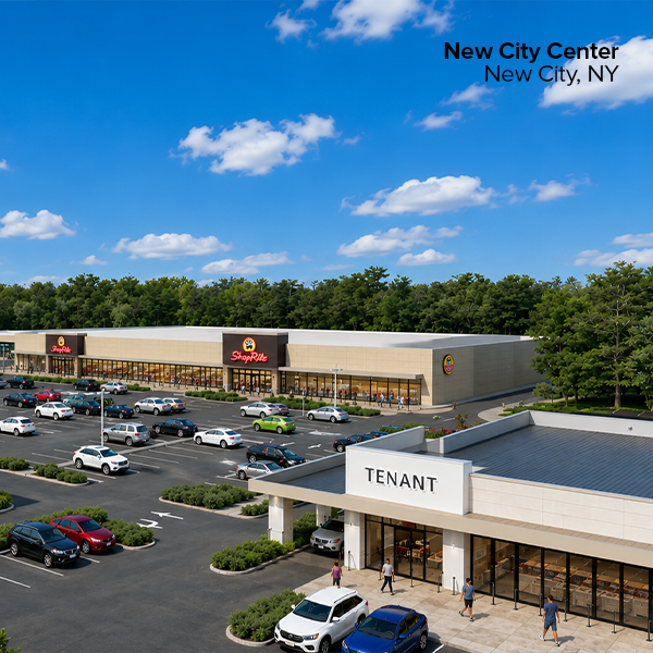 New City Center - Grocery Anchored Retail Center